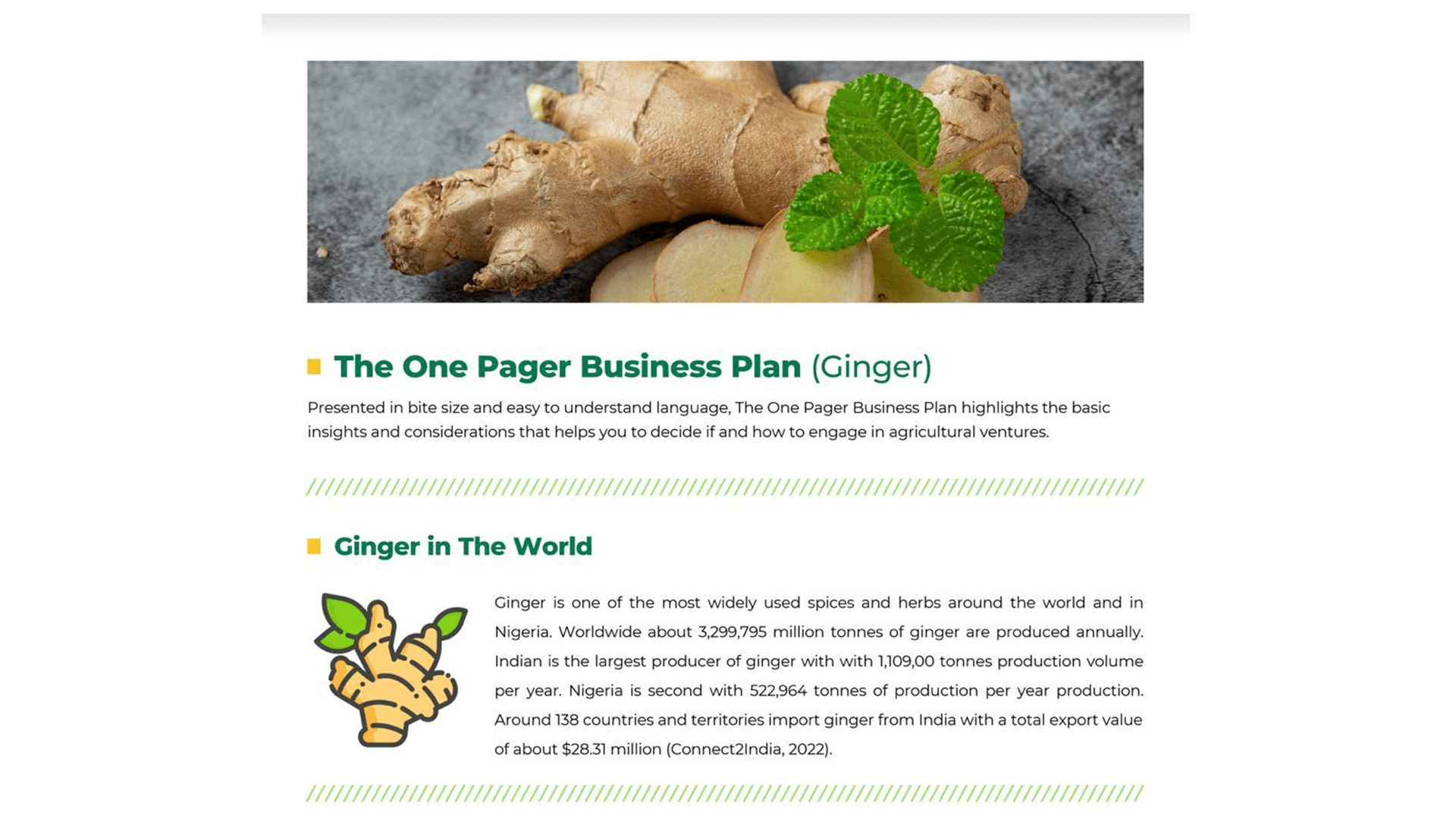 One Pager Business Plan