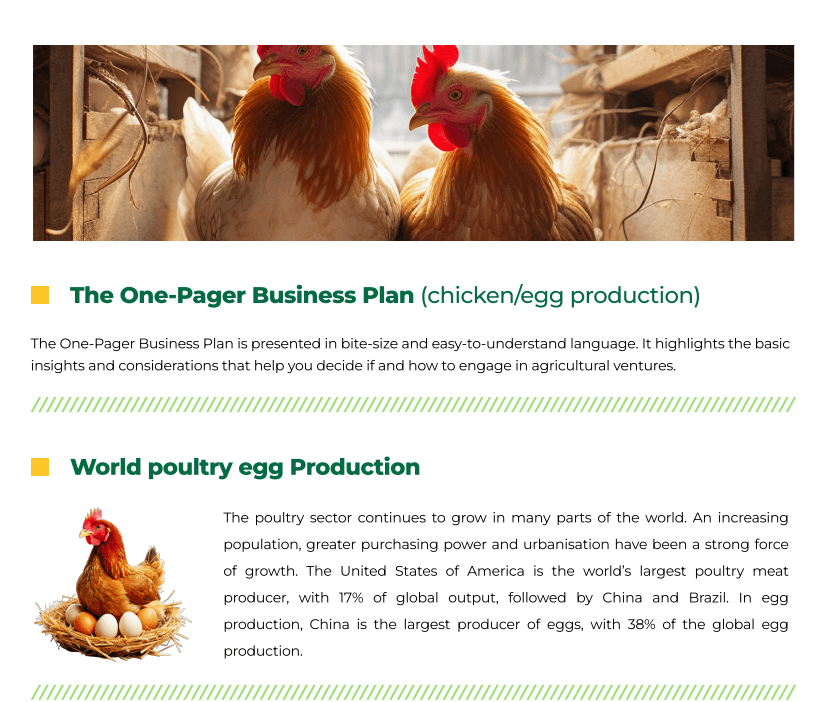 Chicken / Egg Production