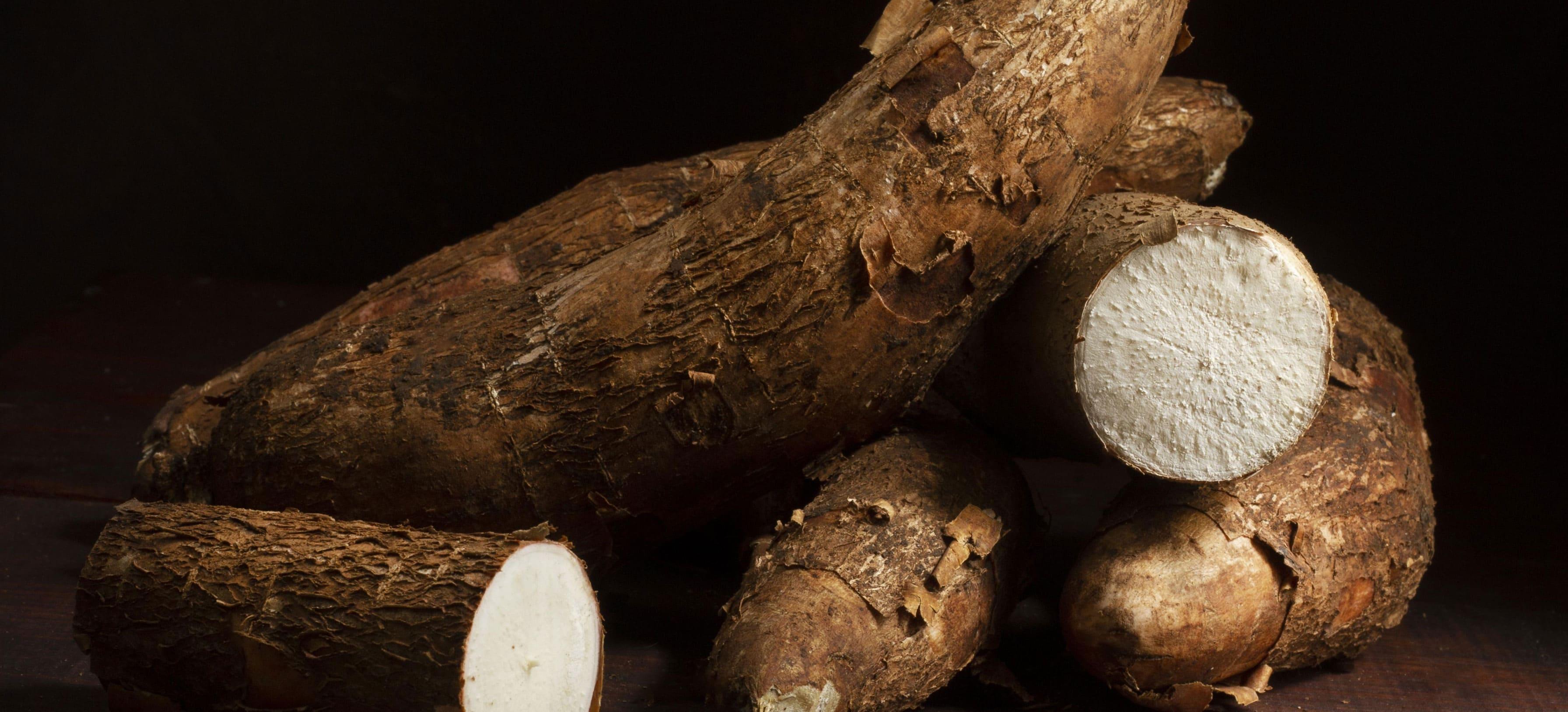 Cassava