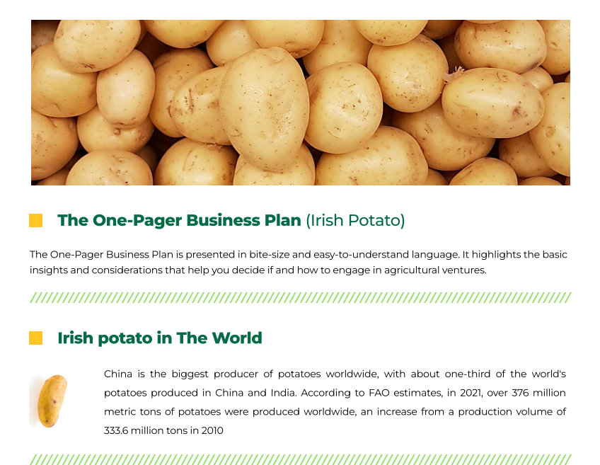 Irish Potato