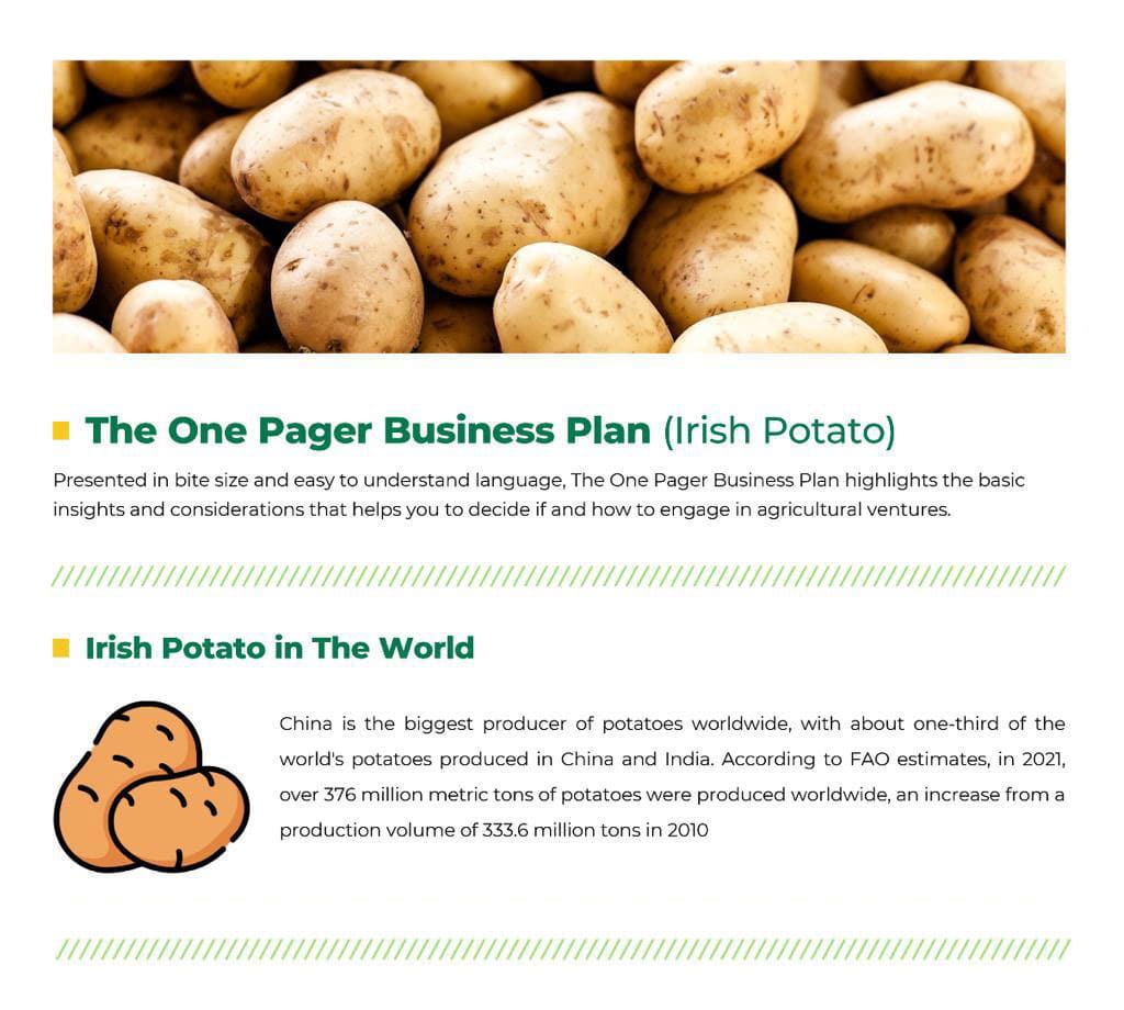 Irish Potato