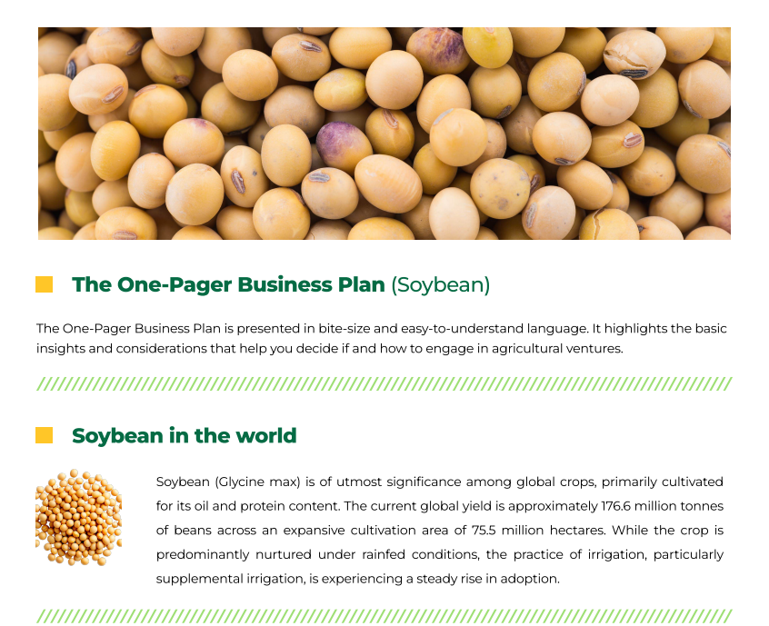 Soybean